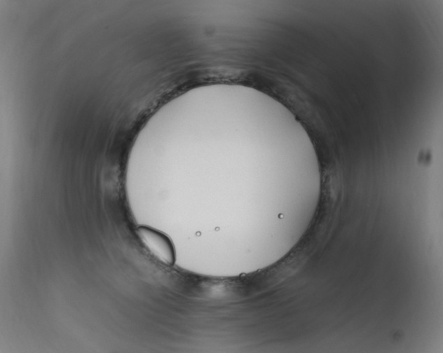 X0000112210564200909041344