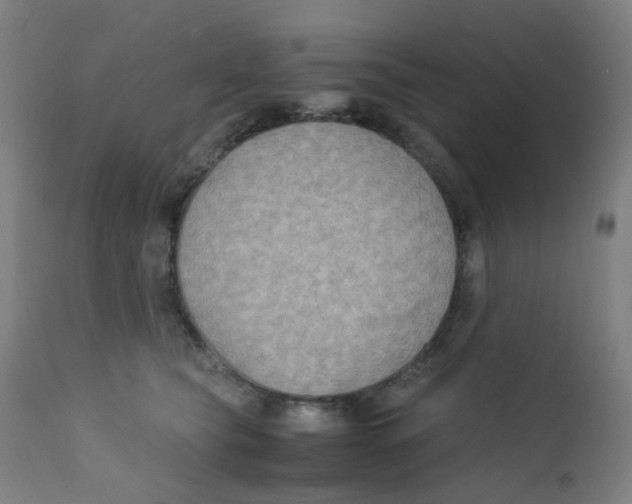 X0000112210565200909041344