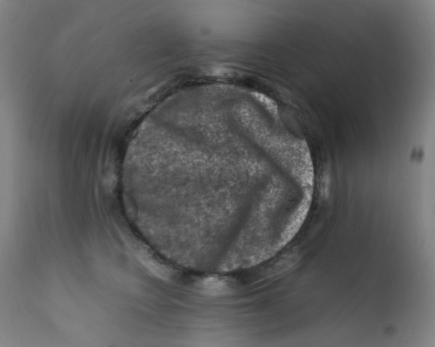 X0000112210566200909041344