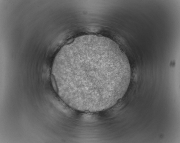 X0000112210568200909041344