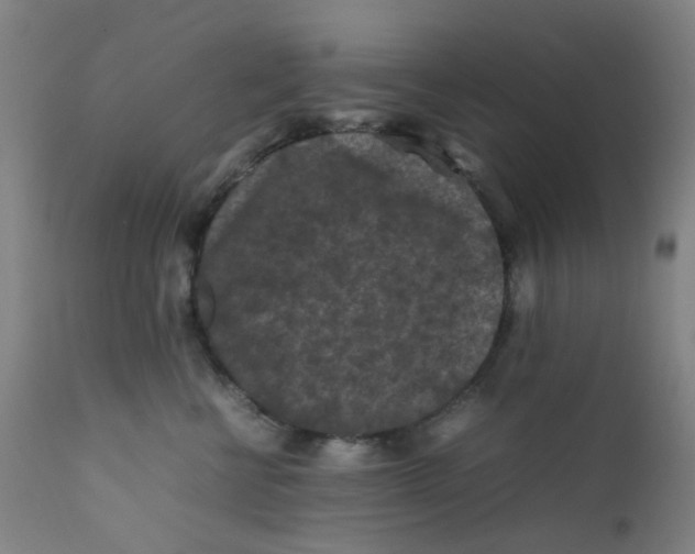 X0000112210570200909041344