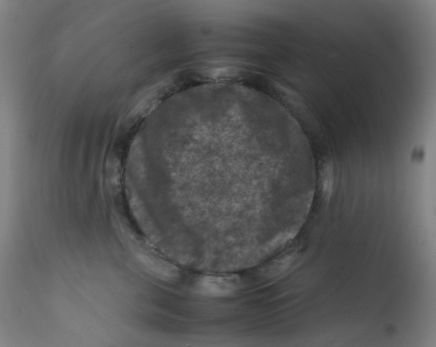 X0000112210571200909041344