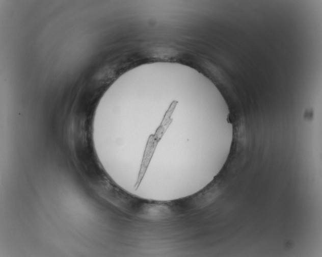 X0000112210572200909041344