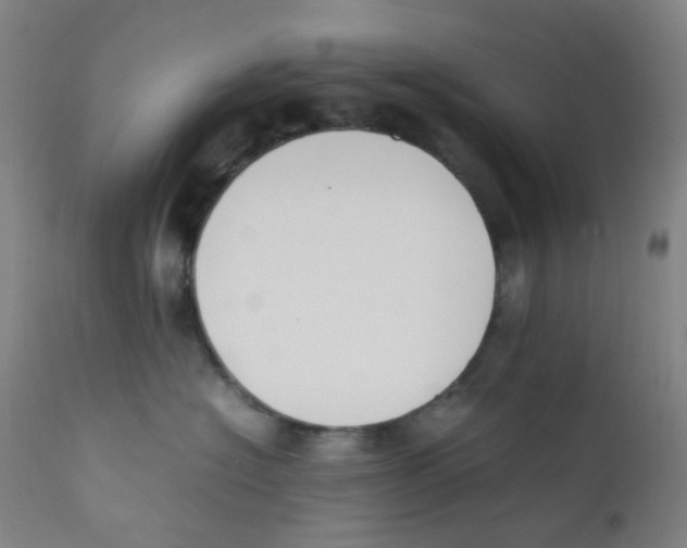 X0000112210574200909041344