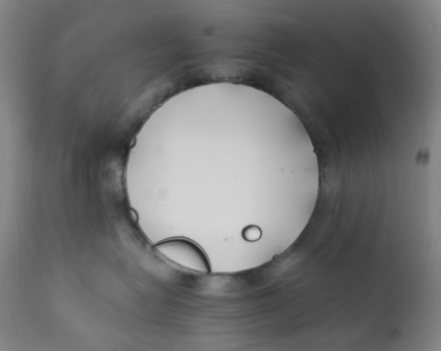 X0000112210575200909041344