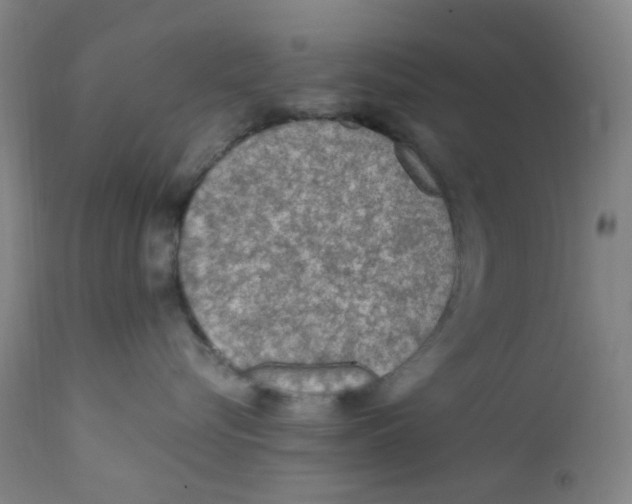 X0000112210576200909041344