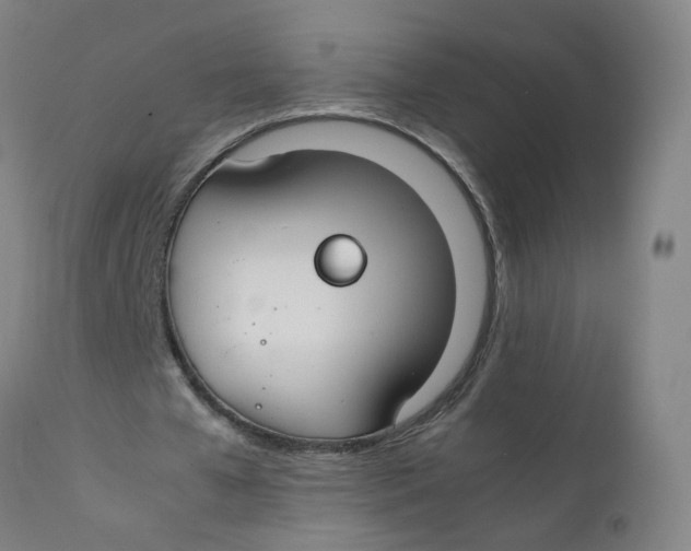 X0000112210577200909041343