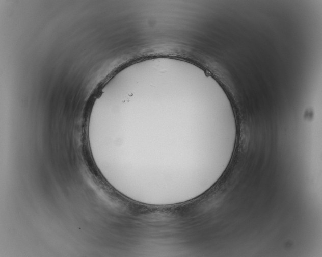 X0000112210578200909041343