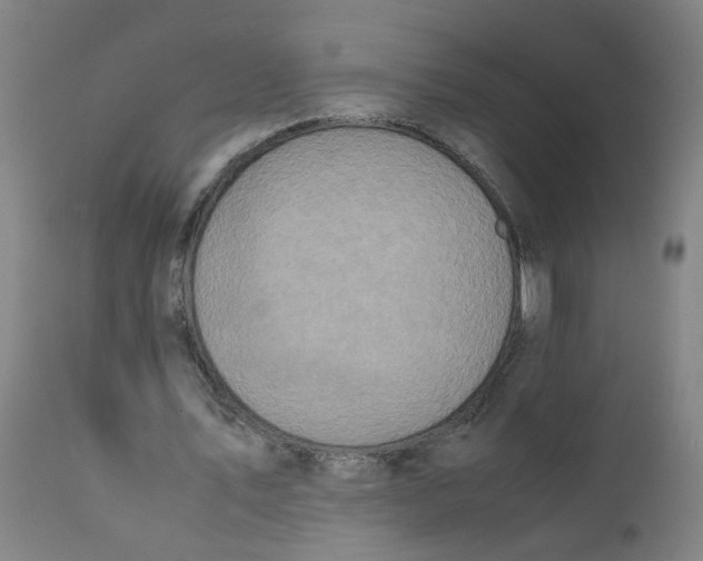 X0000112210579200909041343