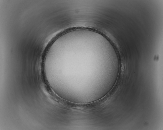 X0000112210580200909041343