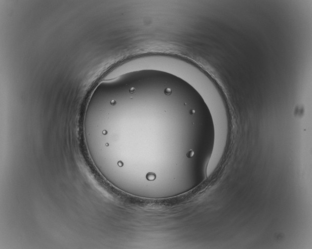 X0000112210581200909041343
