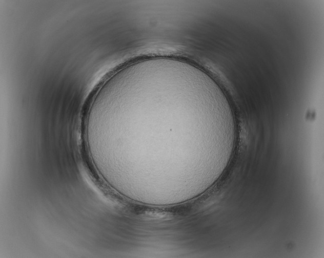 X0000112210582200909041343