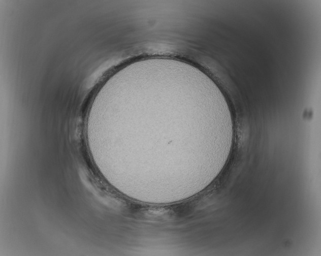 X0000112210583200909041343