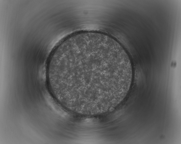 X0000112210584200909041343