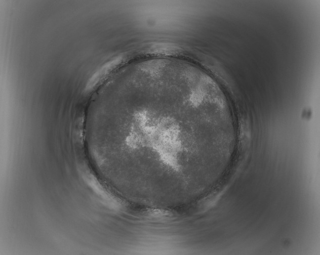 X0000112210585200909041343