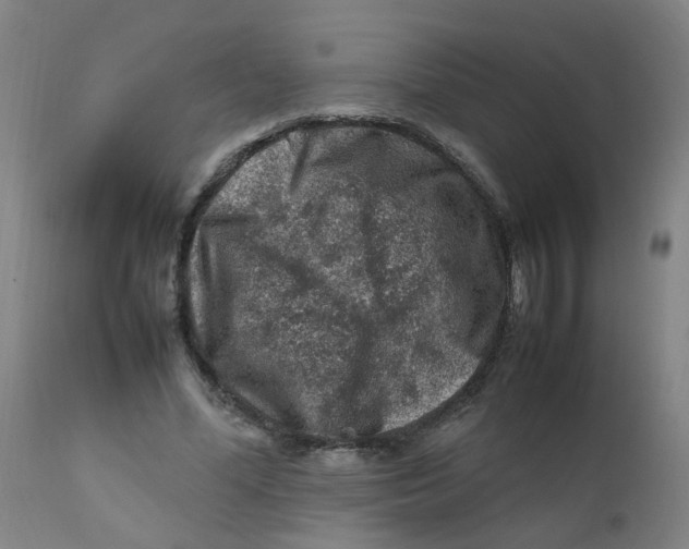 X0000112210588200909041343