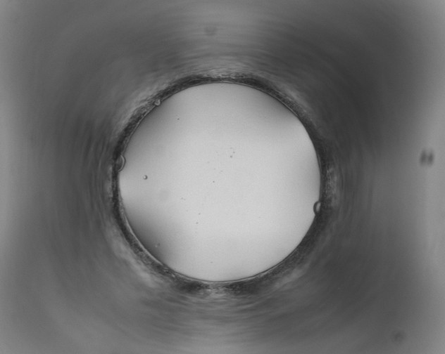X0000112210589200909041343