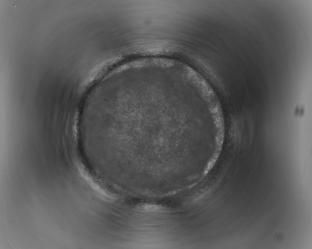 X0000112210590200909041343