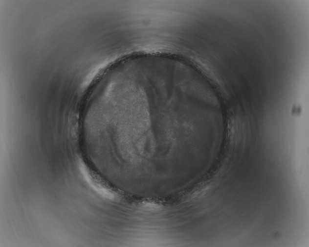 X0000112210592200909041343