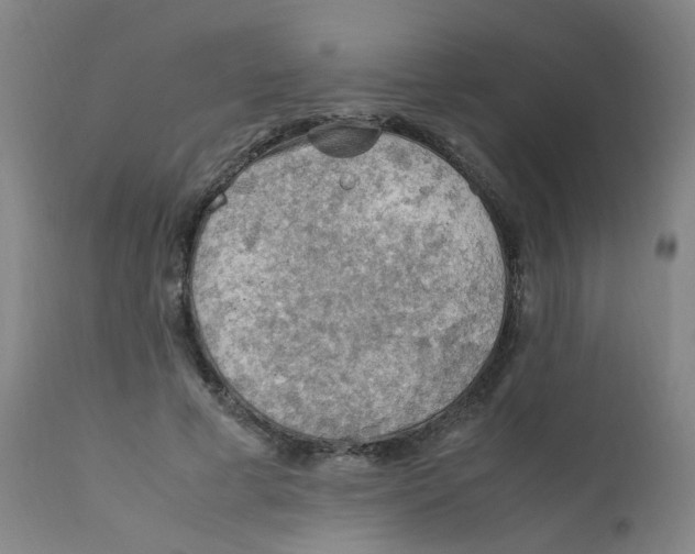 X0000112210593200909041343