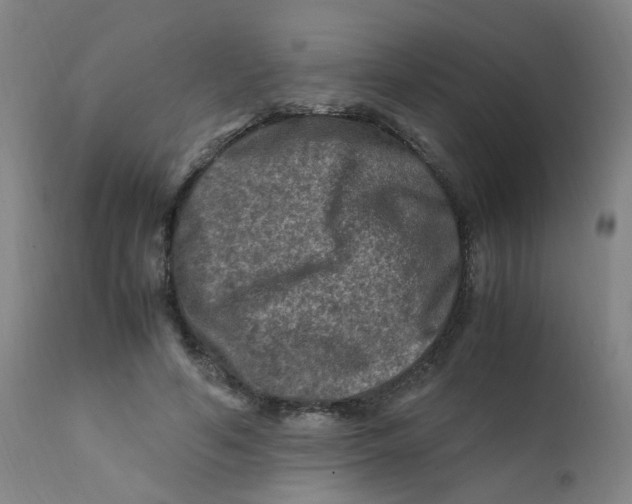 X0000112210594200909041343