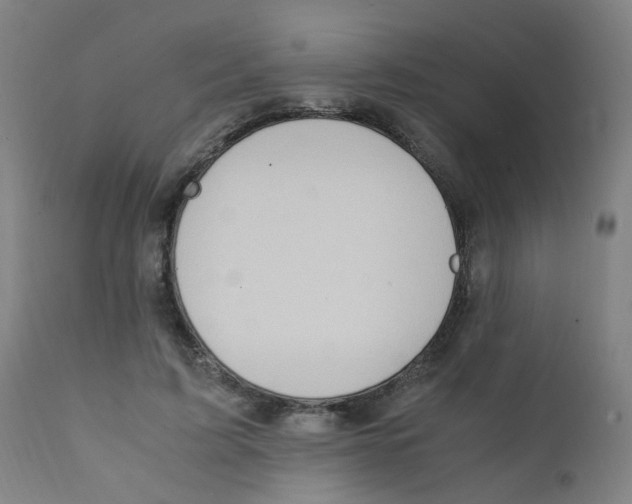 X0000112210595200909041343