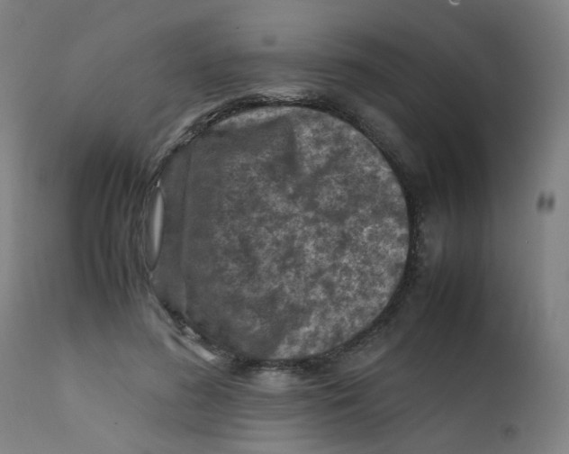 X0000112210596200909041343