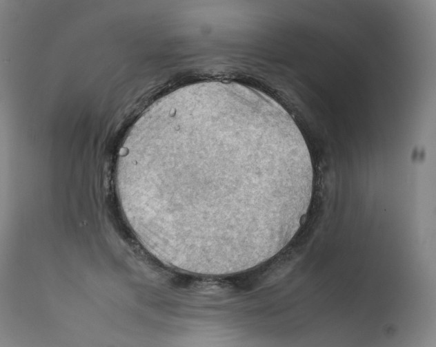 X0000112210597200909041343
