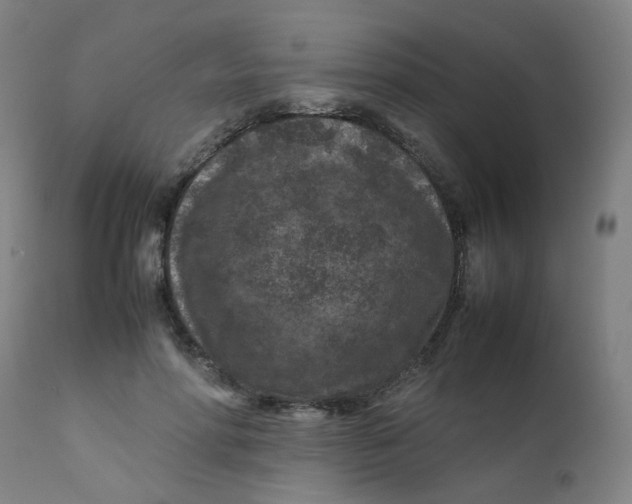 X0000112210598200909041343