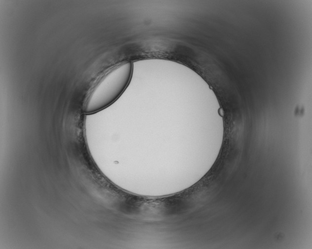 X0000112210599200909041343