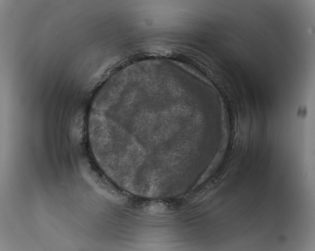 X0000112210600200909041343