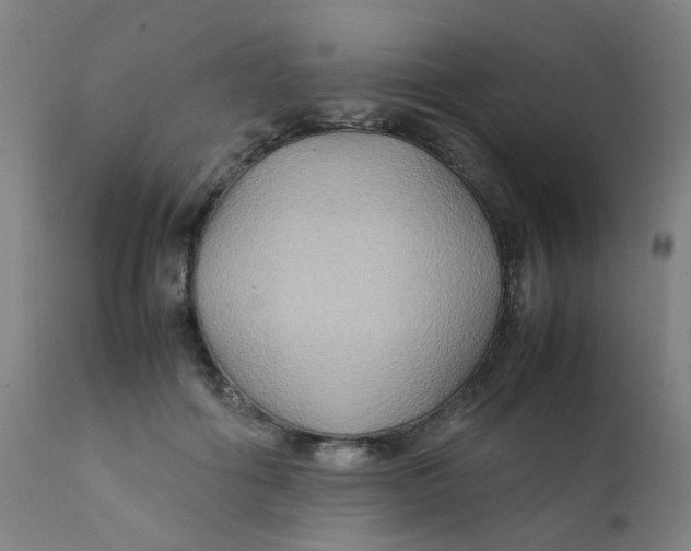 X0000112210602200909041343