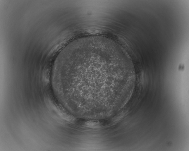 X0000112210606200909041343