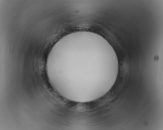 X0000112210608200909041343