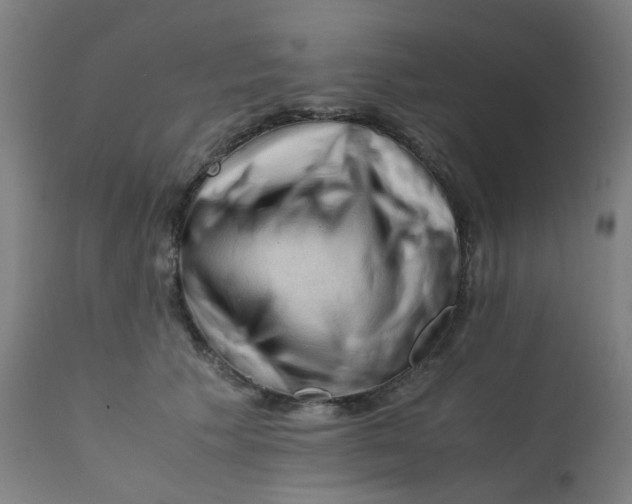 X0000112210609200909041343