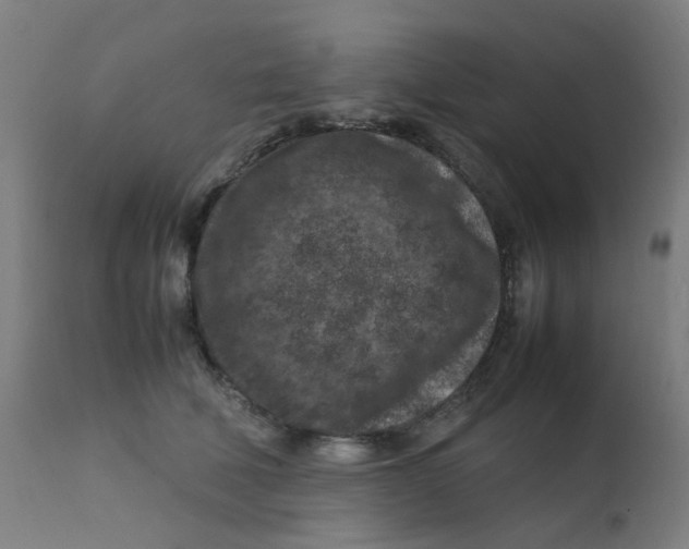 X0000112210610200909041343