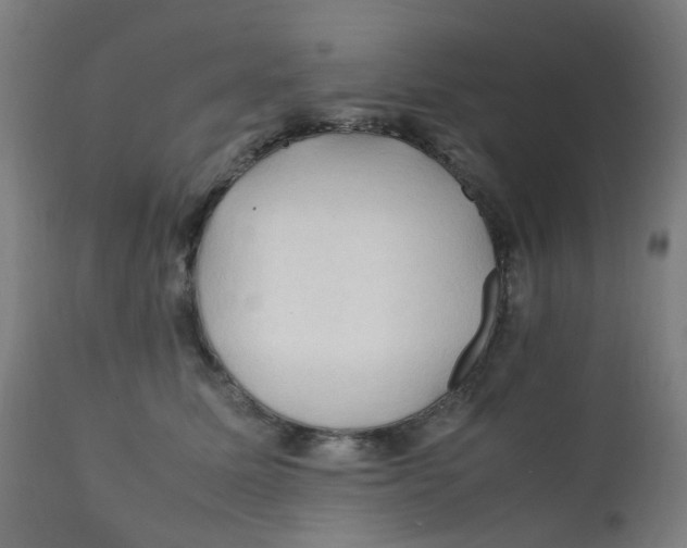 X0000112210611200909041343