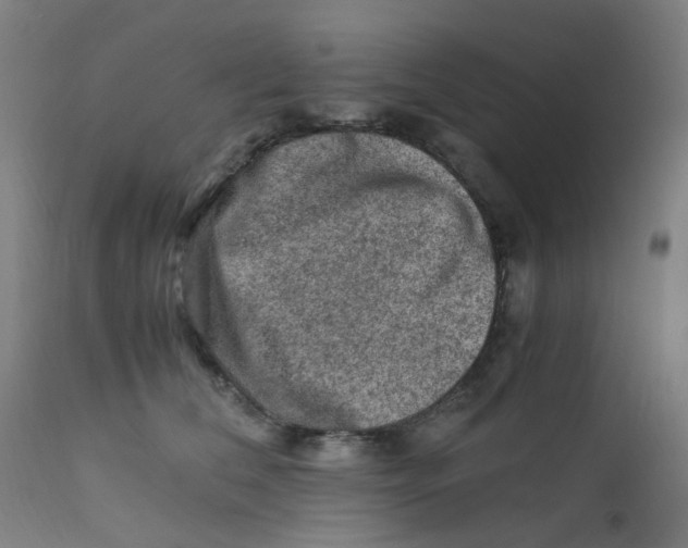 X0000112210612200909041343
