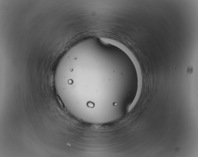 X0000112210613200909041343