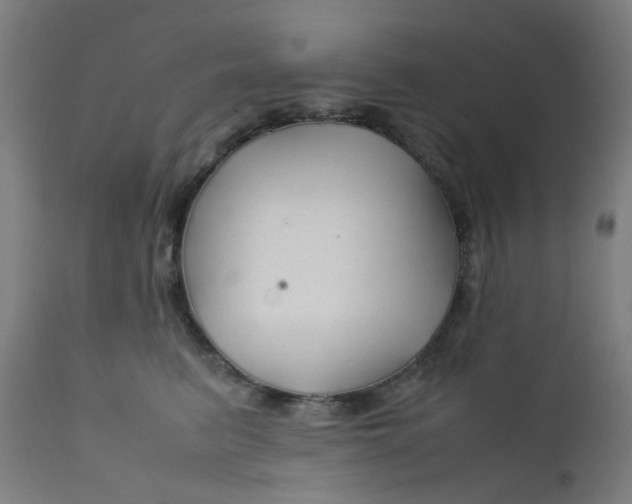 X0000112210615200909041343
