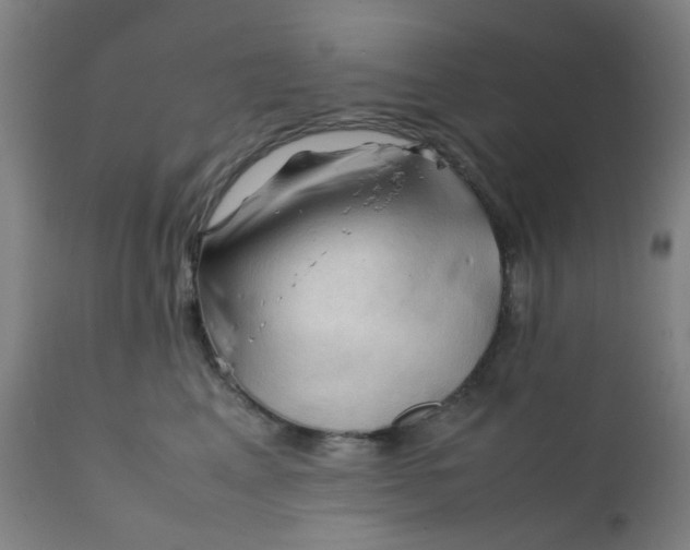 X0000112210617200909041343