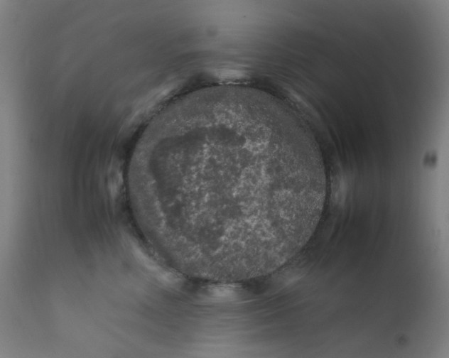 X0000112210618200909041343