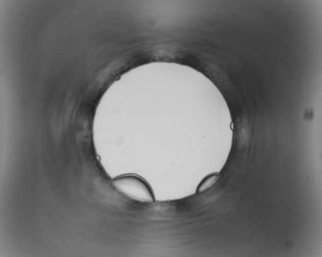 X0000112210619200909041343