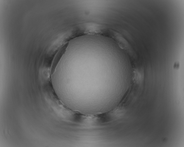 X0000112210621200909041343