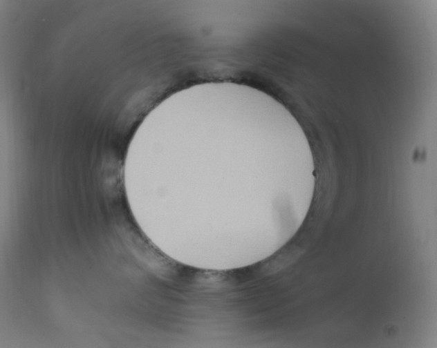 X0000112210624200909041343