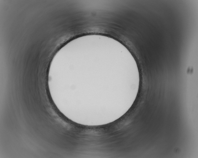 X0000112210625200909041342
