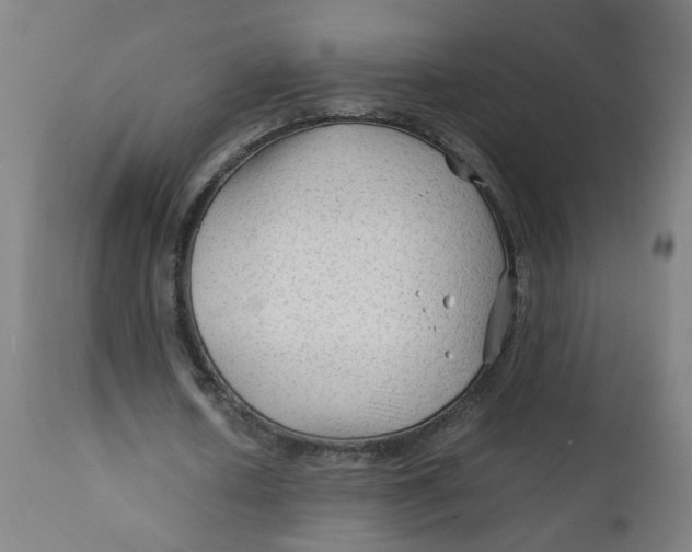 X0000112210626200909041342