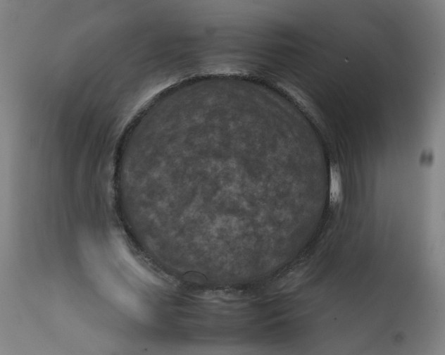 X0000112210627200909041342