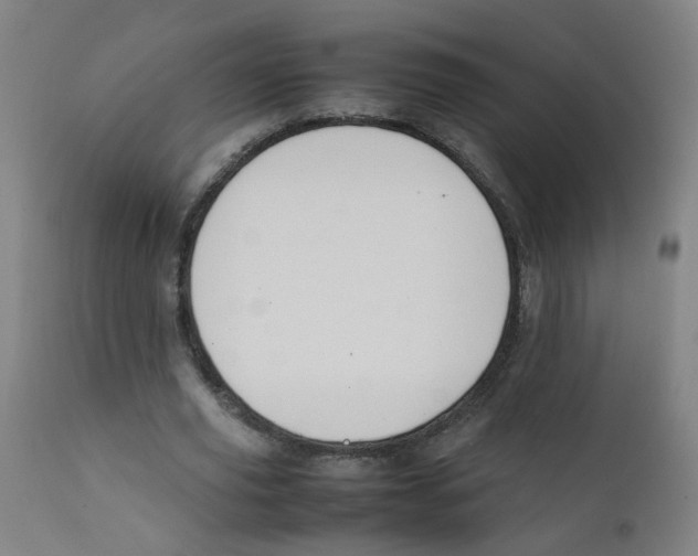 X0000112210629200909041342