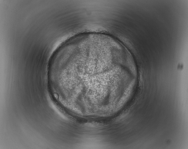 X0000112210630200909041342